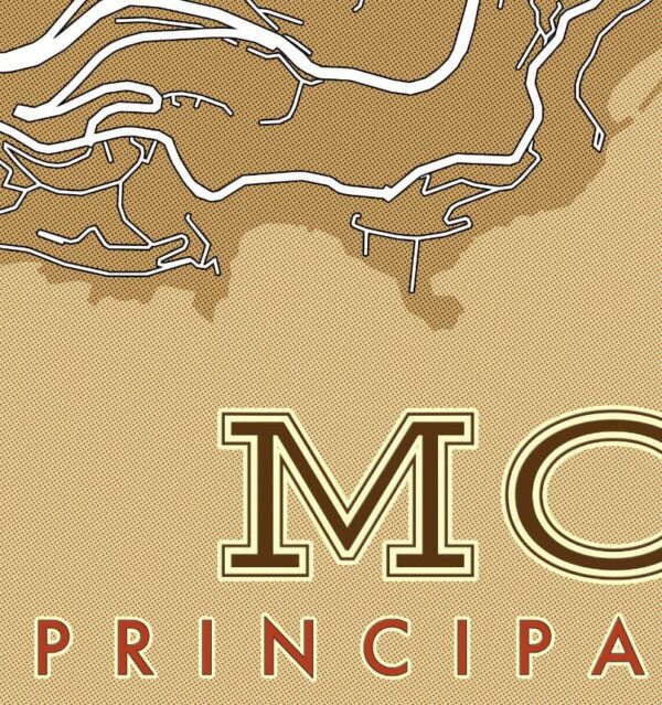 Monaco Street Map Art Halftone Poster