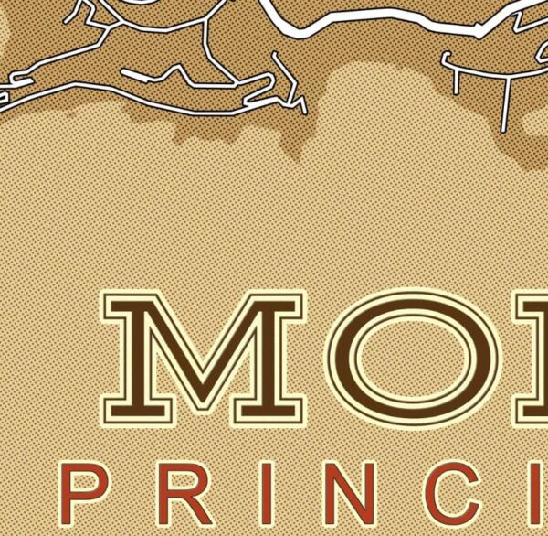 Monte Carlo Street Map Art Halftone Poster